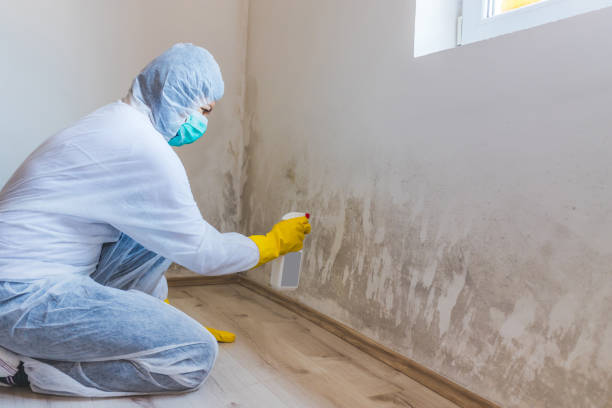 Mold Remediation specialist working in Bethpage